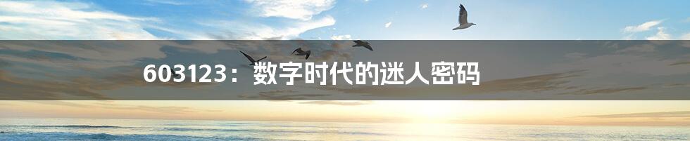 603123:数字时代的迷人密码
