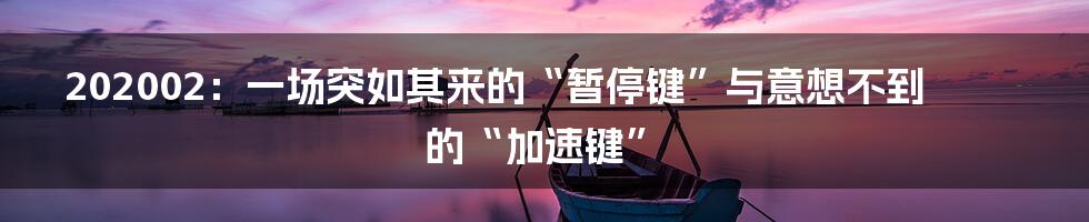 202002：一场突如其来的“暂停键”与意想不到的“加速键”