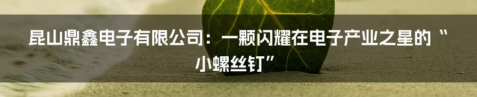 昆山鼎鑫电子有限公司：一颗闪耀在电子产业之星的“小螺丝钉”