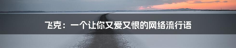 飞克：一个让你又爱又恨的网络流行语