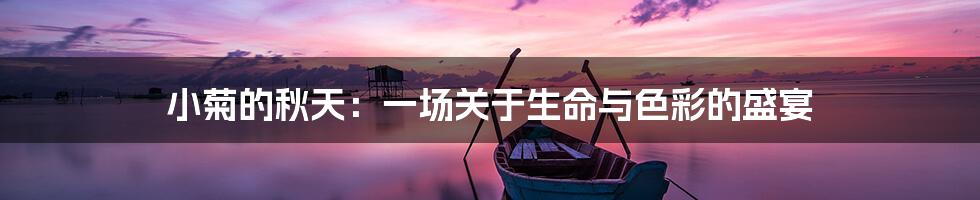 小菊的秋天:一场关于生命与色彩的盛宴