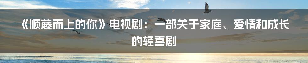《顺藤而上的你》电视剧：一部关于家庭、爱情和成长的轻喜剧