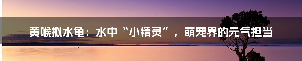 黄喉拟水龟:水中“小精灵”,萌宠界的元气担当