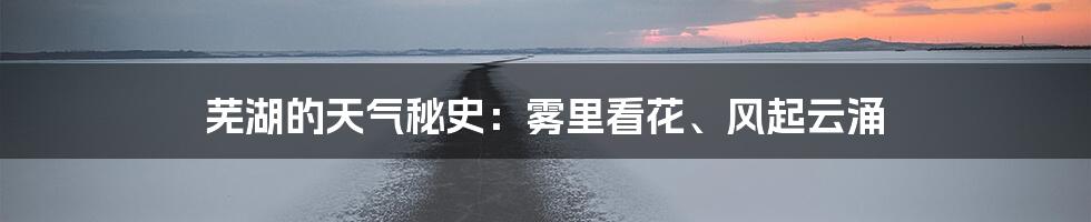 芜湖的天气秘史:雾里看花、风起云涌