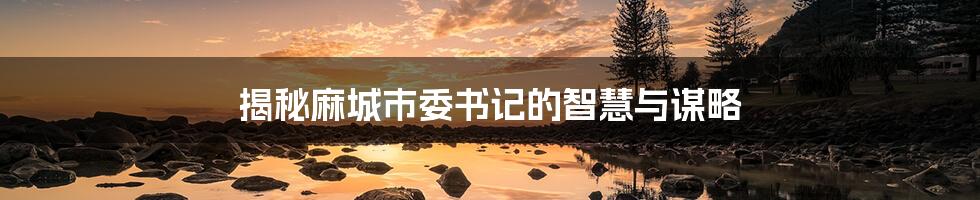 揭秘麻城市委书记的智慧与谋略