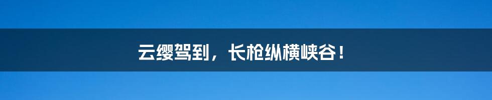 云缨驾到，长枪纵横峡谷！