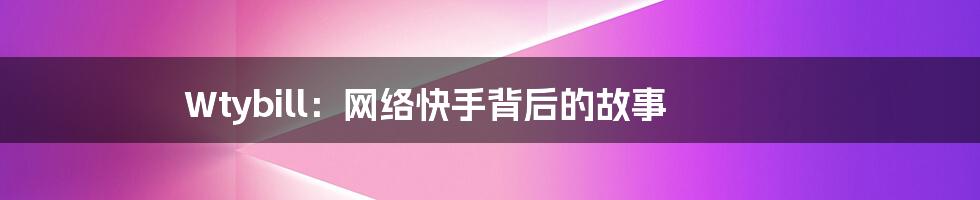 Wtybill：网络快手背后的故事