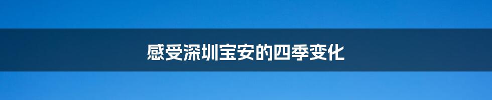感受深圳宝安的四季变化