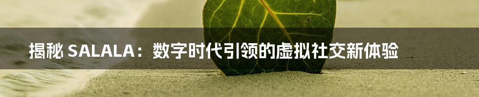揭秘 SALALA：数字时代引领的虚拟社交新体验