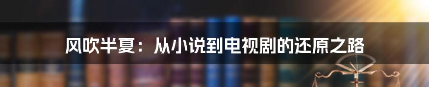 风吹半夏:从小说到电视剧的还原之路