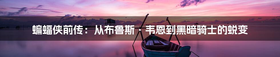 蝙蝠侠前传：从布鲁斯·韦恩到黑暗骑士的蜕变