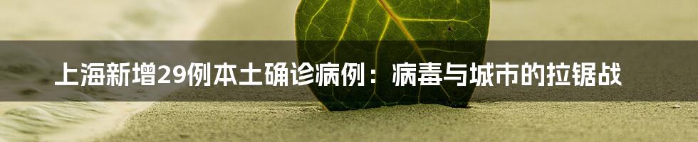 上海新增29例本土确诊病例:病毒与城市的拉锯战