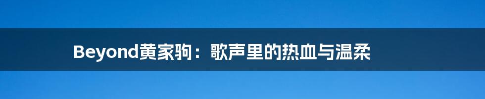 Beyond黄家驹:歌声里的热血与温柔