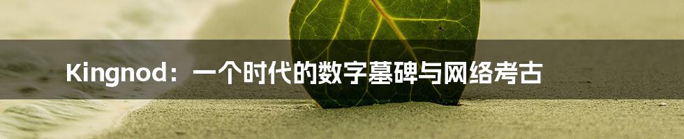 Kingnod：一个时代的数字墓碑与网络考古
