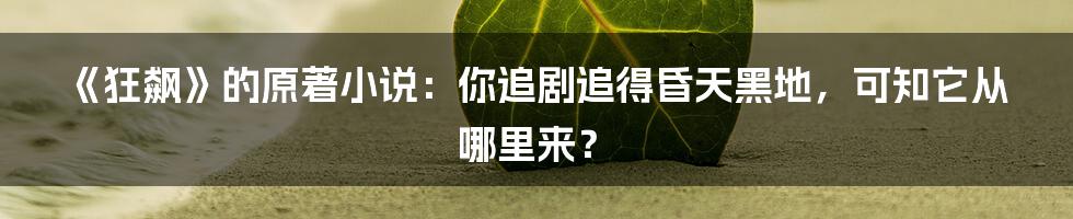 《狂飙》的原著小说:你追剧追得昏天黑地,可知它从哪里来?