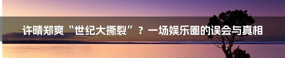 许晴郑爽“世纪大撕裂”?一场娱乐圈的误会与真相