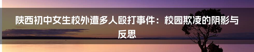 陕西初中女生校外遭多人殴打事件:校园欺凌的阴影与反思