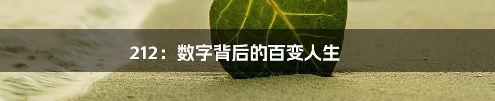 212：数字背后的百变人生