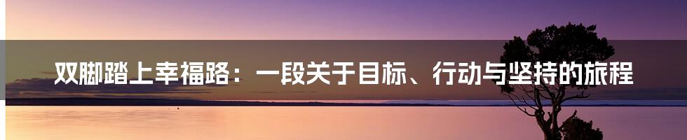 双脚踏上幸福路:一段关于目标、行动与坚持的旅程