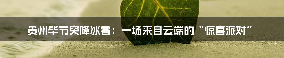贵州毕节突降冰雹:一场来自云端的“惊喜派对”
