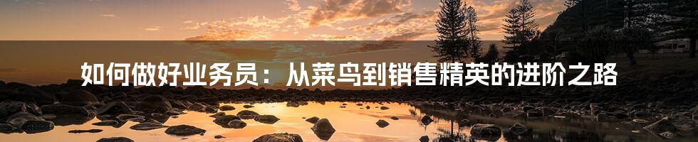 如何做好业务员：从菜鸟到销售精英的进阶之路