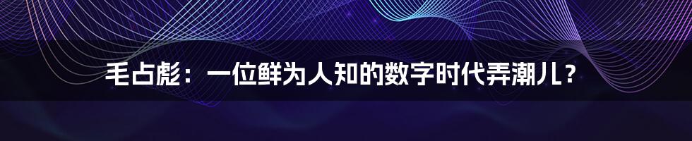 毛占彪：一位鲜为人知的数字时代弄潮儿？
