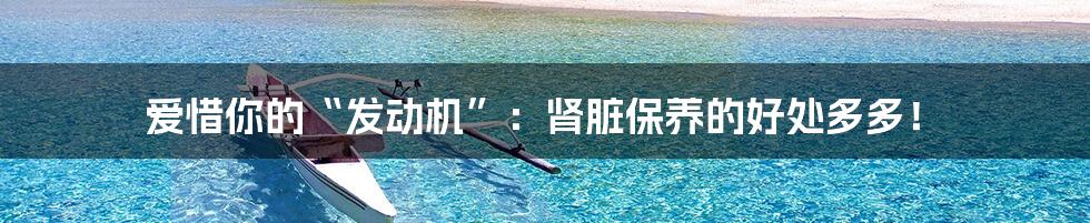 爱惜你的“发动机”:肾脏保养的好处多多!