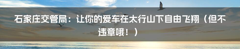 石家庄交管局:让你的爱车在太行山下自由飞翔(但不违章哦!)