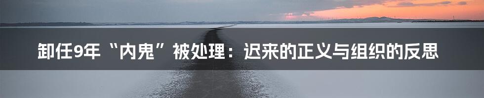 卸任9年“内鬼”被处理:迟来的正义与组织的反思