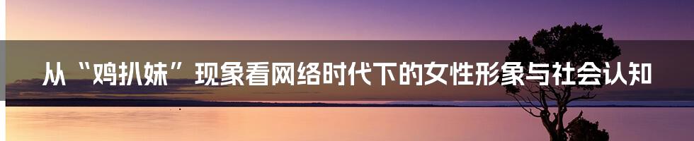 从“鸡扒妹”现象看网络时代下的女性形象与社会认知