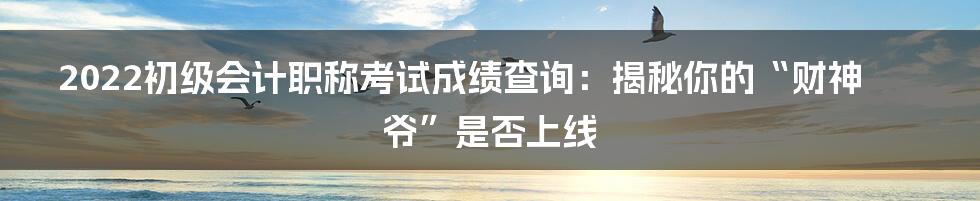 2022初级会计职称考试成绩查询：揭秘你的“财神爷”是否上线
