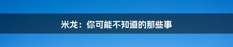 米龙：你可能不知道的那些事