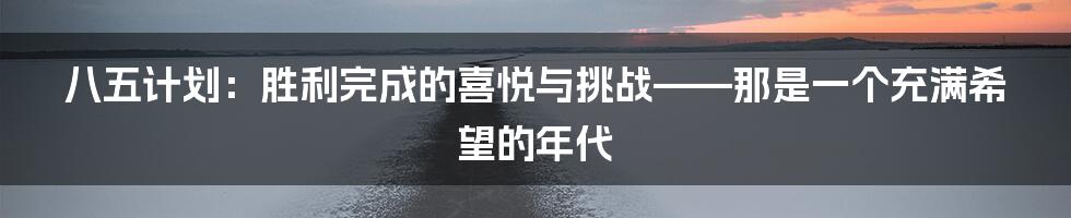 八五计划:胜利完成的喜悦与挑战——那是一个充满希望的年代