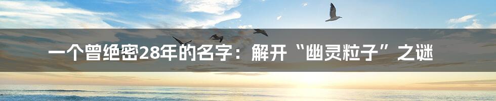 一个曾绝密28年的名字：解开“幽灵粒子”之谜