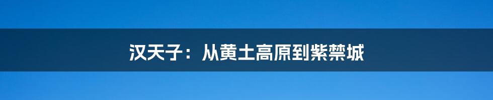 汉天子：从黄土高原到紫禁城