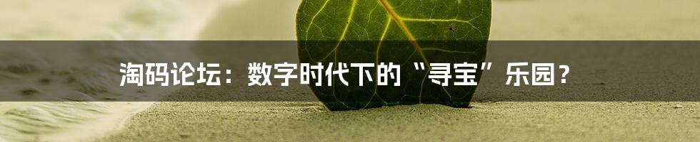 淘码论坛:数字时代下的“寻宝”乐园?