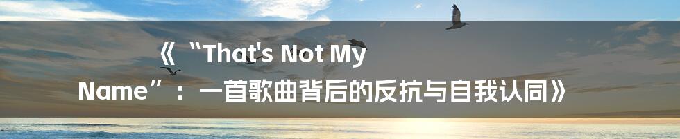 《“That's Not My Name”:一首歌曲背后的反抗与自我认同》