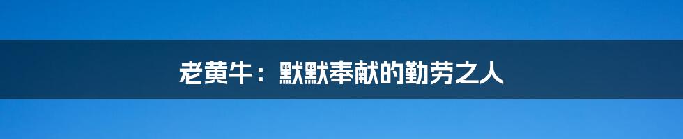 老黄牛：默默奉献的勤劳之人