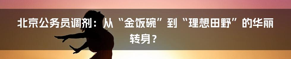 北京公务员调剂：从“金饭碗”到“理想田野”的华丽转身？