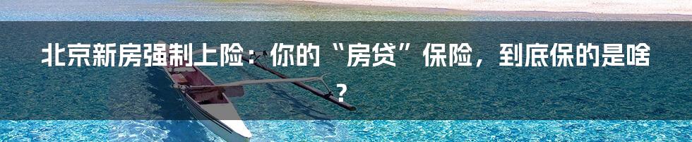 北京新房强制上险：你的“房贷”保险，到底保的是啥？