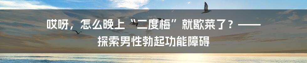 哎呀，怎么晚上“二度梅”就歇菜了？—— 探索男性勃起功能障碍