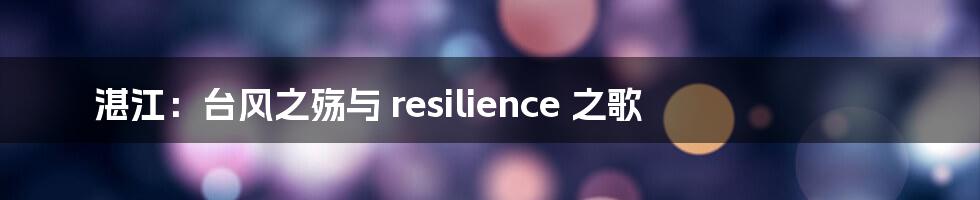 湛江:台风之殇与 resilience 之歌