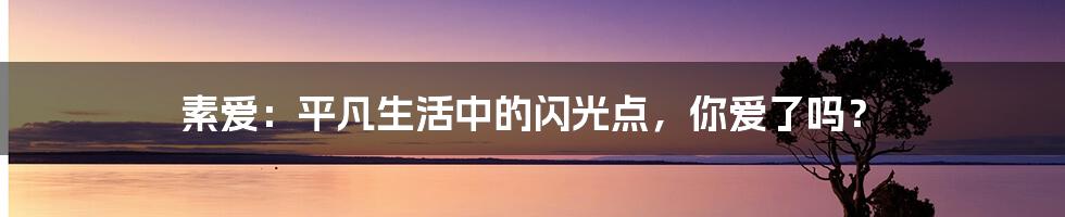 素爱:平凡生活中的闪光点,你爱了吗?