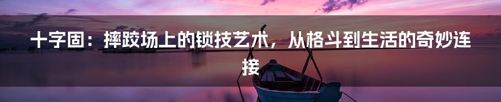 十字固：摔跤场上的锁技艺术，从格斗到生活的奇妙连接
