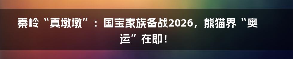 秦岭“真墩墩”：国宝家族备战2026，熊猫界“奥运”在即！