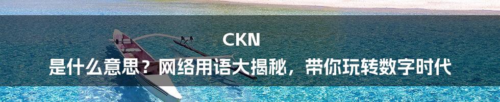 CKN 是什么意思?网络用语大揭秘,带你玩转数字时代