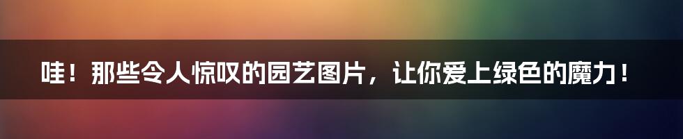 哇！那些令人惊叹的园艺图片，让你爱上绿色的魔力！
