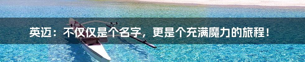 英迈:不仅仅是个名字,更是个充满魔力的旅程!