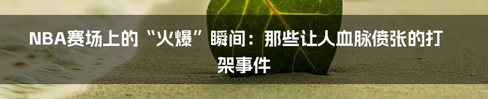 NBA赛场上的“火爆”瞬间：那些让人血脉偾张的打架事件