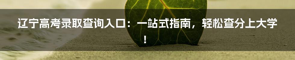 辽宁高考录取查询入口:一站式指南,轻松查分上大学!